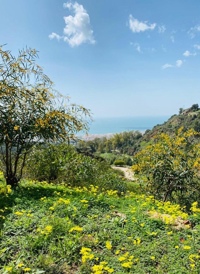 Bed and Breakfast Casa Capricornio Marbella Zewnętrze zdjęcie