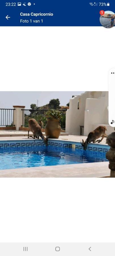 Bed and Breakfast Casa Capricornio Marbella Zewnętrze zdjęcie
